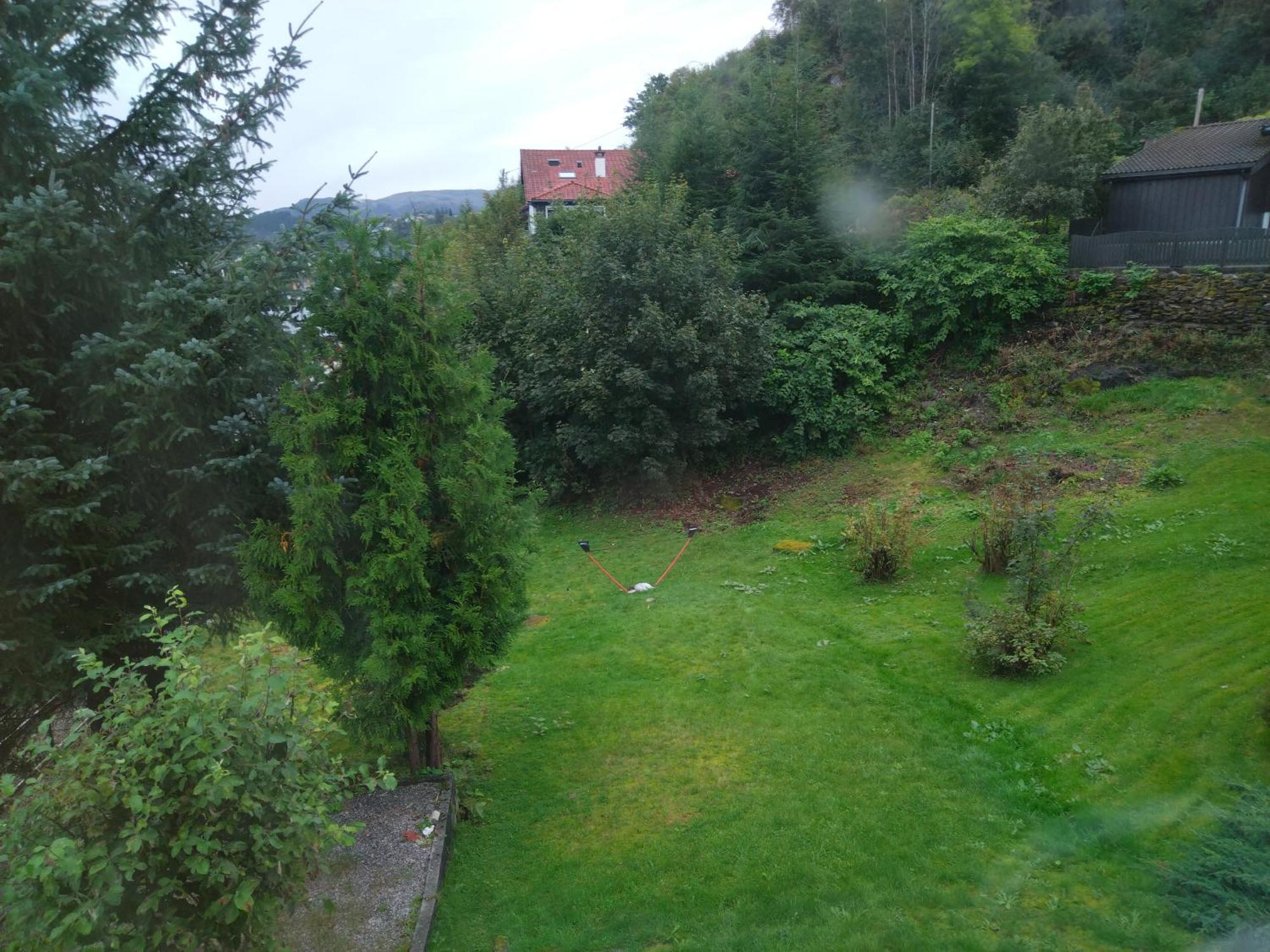 Kjellerleilighet I Fana Til Leie-Med Gratis Parkering Og Mange Kollektiv Reisemuligheter Bergen Buitenkant foto