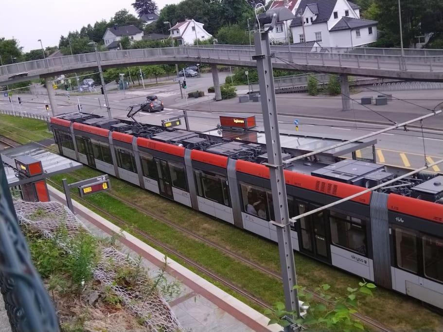 Kjellerleilighet I Fana Til Leie-Med Gratis Parkering Og Mange Kollektiv Reisemuligheter Bergen Buitenkant foto