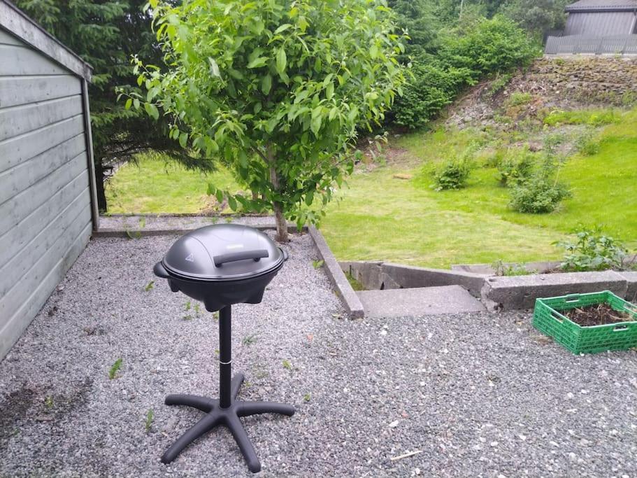 Kjellerleilighet I Fana Til Leie-Med Gratis Parkering Og Mange Kollektiv Reisemuligheter Bergen Buitenkant foto